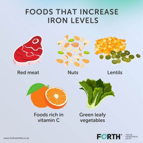 What is the difference between ferritin and iron? - Forth