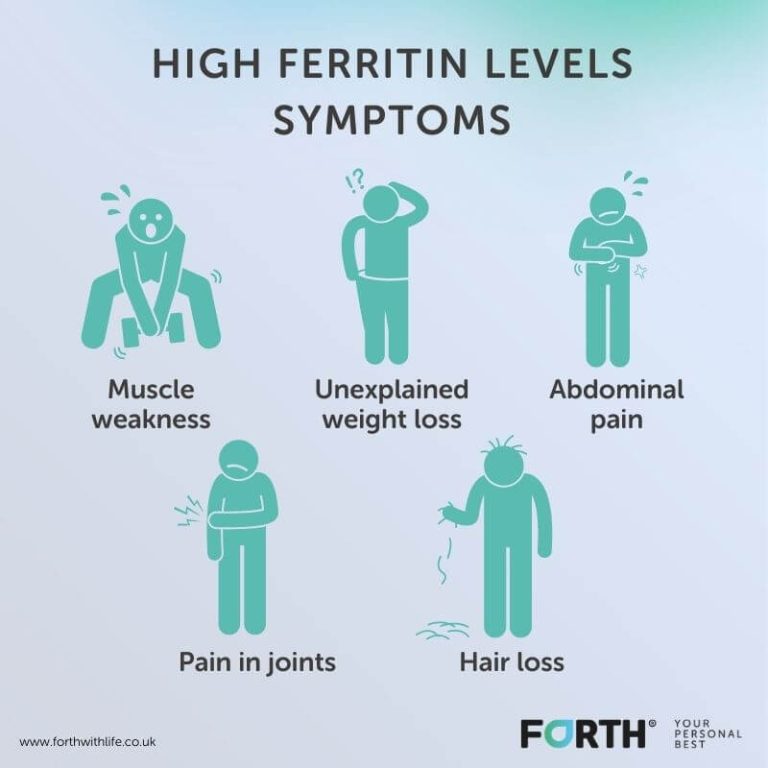 What is the difference between ferritin and iron? Forth