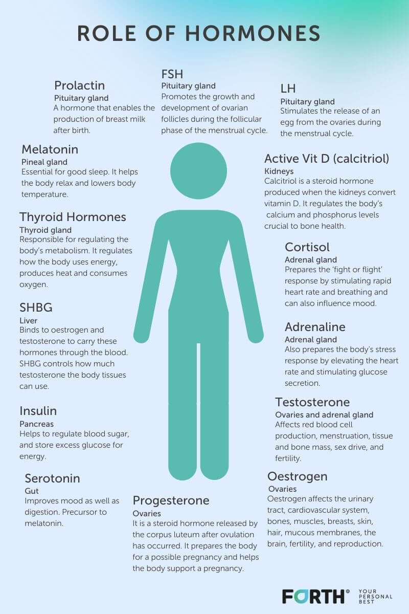 How Female Hormones Impact Women S Health Not Just Fertility