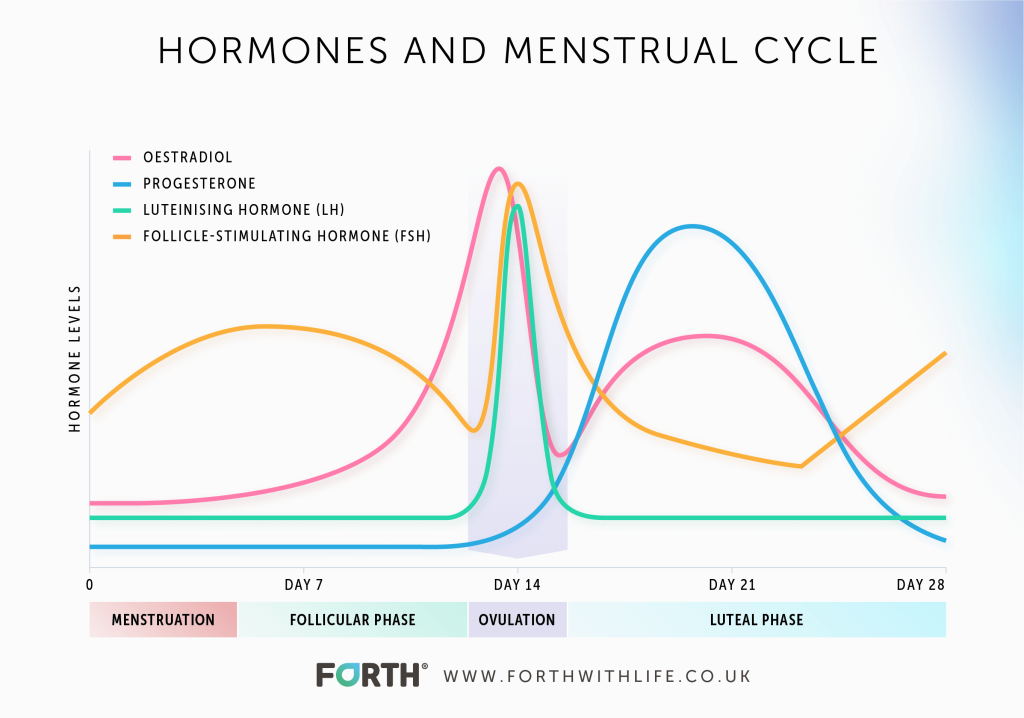 female hormone cycle chart