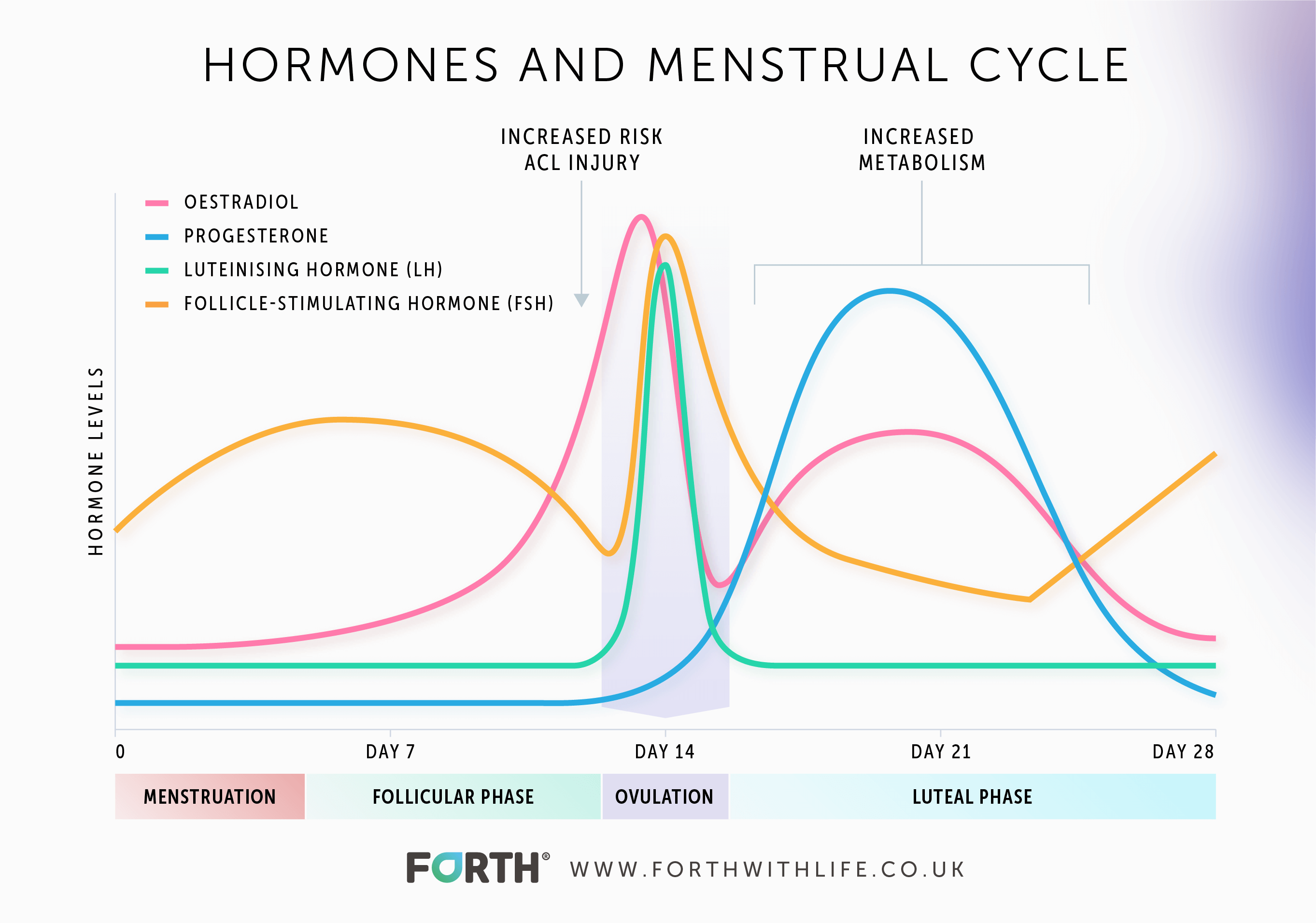 During your Luteal Phase your progesterone levels are at its peak here