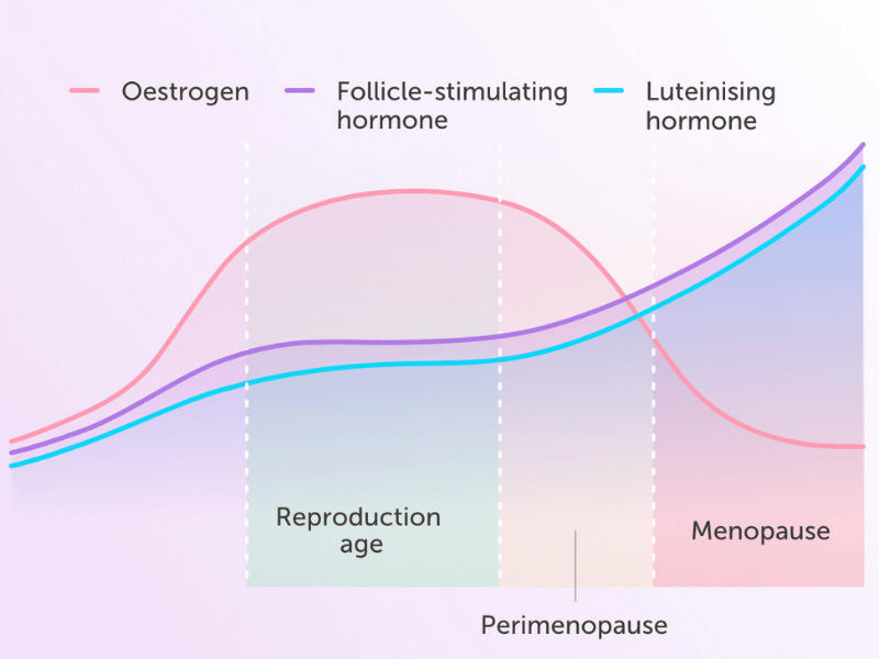 Female hormones over a women's lifetime