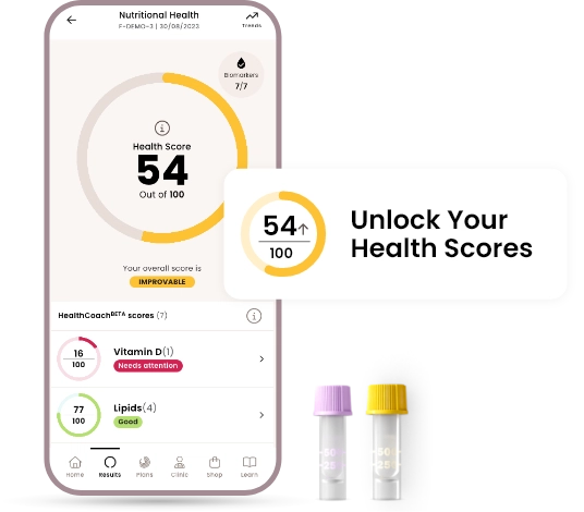 Pregnancy Nutrition home blood test - HealthCoach scores