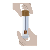 Stool sample sealed inside the collection tube from a Forth gut health microbiome test, ready to post to the lab.